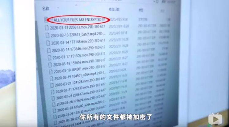 2025-2024年新澳门全年正版资料免费精准大全,实用释义解释落实