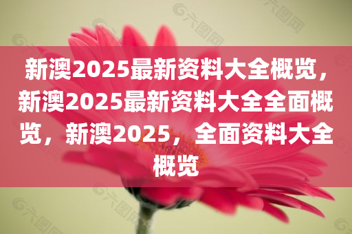 新澳2025年资料免费大全版,全面释义解释与落实展望